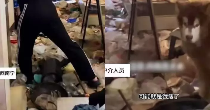 拖欠近兩個月房租 南寧女租客遺滿屋垃圾及阿拉斯加犬跑路引網斥不負責任