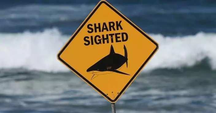 澳洲大堡礁魚叉捕魚者遭鯊魚襲擊身亡 一周內第二宗致命個案