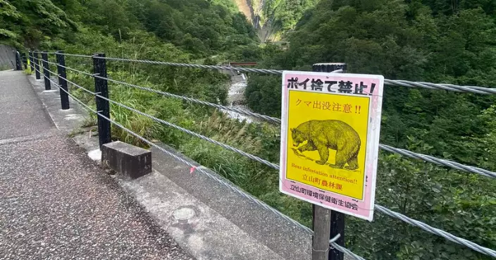 遊日注意！日本富山「稱名瀑布」驚傳熊襲　兩遊客相隔50米遇襲一婦腰腳遭咬傷