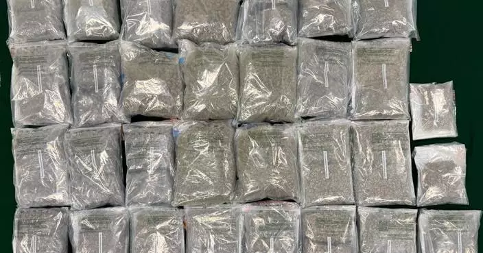 海關屯門檢31公斤懷疑大麻花 市值600萬元一男被捕