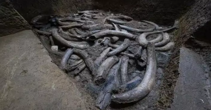 三星堆考古新突破！出土純隕鐵製品　距今約3000年 為西南地區最早隕鐵文物