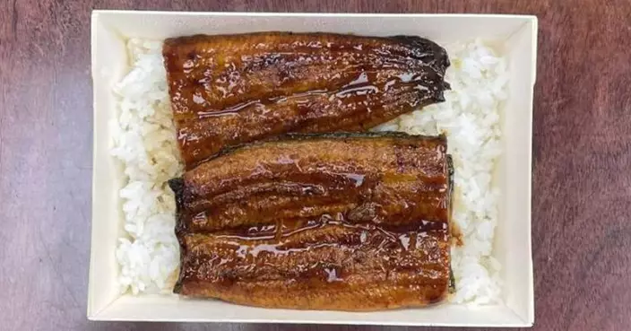 日本「全人工養殖」鰻魚成功商業化！農林水產大臣讚：人生前三名美味