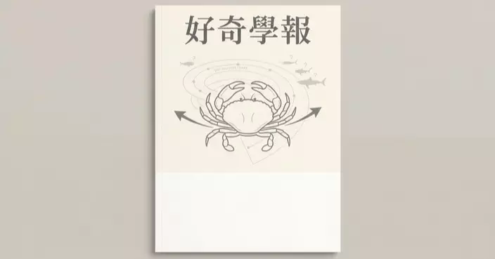 蟹為何橫著走？2億年前一次關鍵演化，讓牠們躲過滅絕