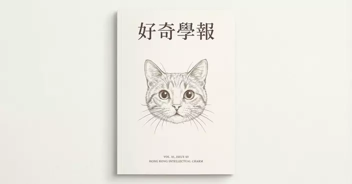 「深海吸塵機」殺人事件：五名資深潛水員如何在馬爾代夫捲入無底黑洞