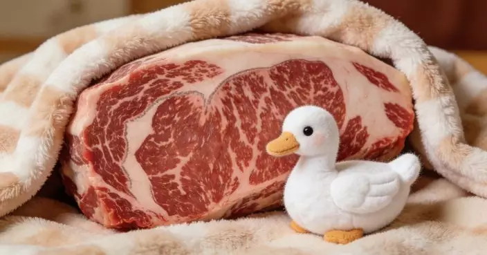 大連和牛與蓮城白鷺鴨:深圳驚見國產頂級食材供應鏈版圖