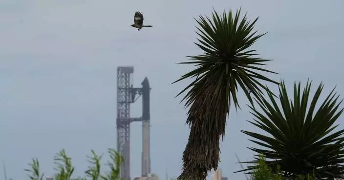 SpaceX星艦試射前遇連串問題 倒數最後關頭叫停