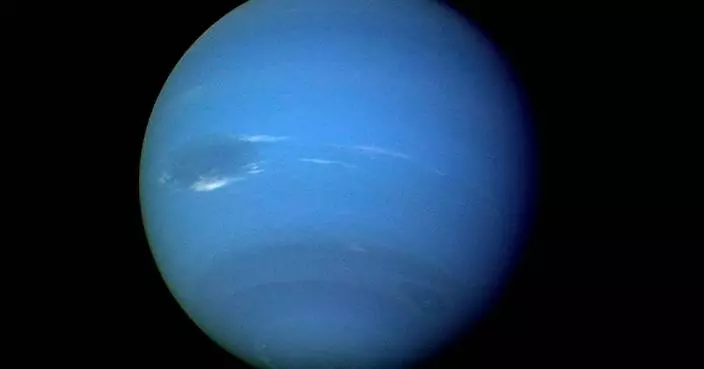 海王星衛星涅瑞德或為原始倖存者 研究指成分與柯伊伯帶天體不符