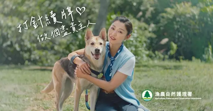 漁護署： 狗隻滿5個月須領取狗牌打狂犬病疫苗 每3年需續牌
