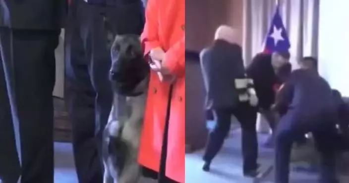 結業禮突撲向海軍中將 智利緝毒犬死咬對方褲袋不放 網民熱議：聞到了甚麼？