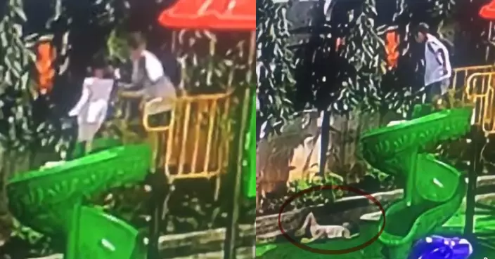 公寓遊樂場瀡滑梯 越南女童遭自閉症男童從1.5米高處推下眼眶骨折頭部血腫