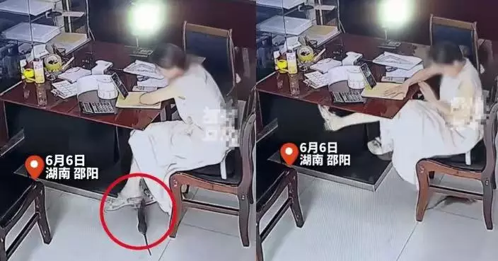 辦公室驚現大老鼠 湖南女專心工作突遭偷襲咬腳幸無破皮