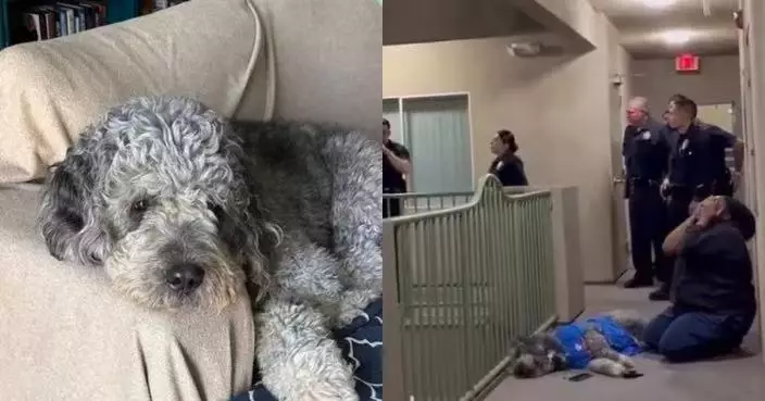 鄰居聞歡呼聲誤會報警 洛杉磯女飼主開門數秒愛犬遭警員擊斃