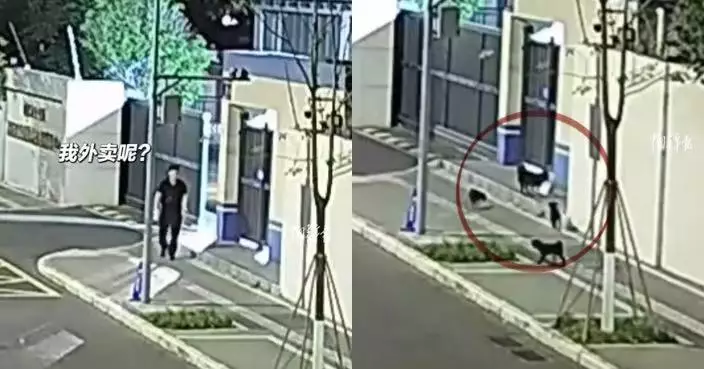 成都警員宵夜漢堡離奇消失 翻查監控揭「犯人」竟是「這一家」哭笑不得