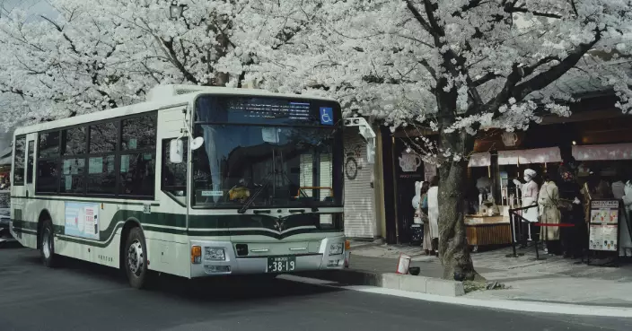 平均年齡升至56歲！日本運輸業陷高齡危機 巴士司機缺口達3.6萬人