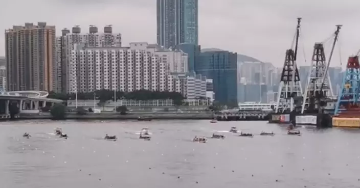 香港國際龍舟節一連兩日維港上演