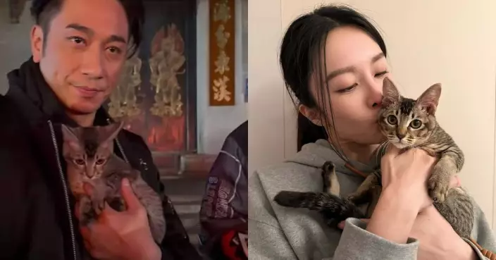 吳卓羲張曦雯合作《璀璨之城》假戲真做？疑「一隻貓兩份養」 洩蜜