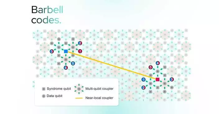 IQM研發嶄新量子糾錯碼 邏輯錯誤率低超表面碼三個數量級