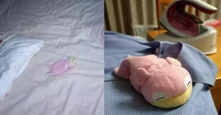 孫女遺漏心愛公仔 日祖父每日拍照安撫愈拍愈專業 可愛日常療癒網民