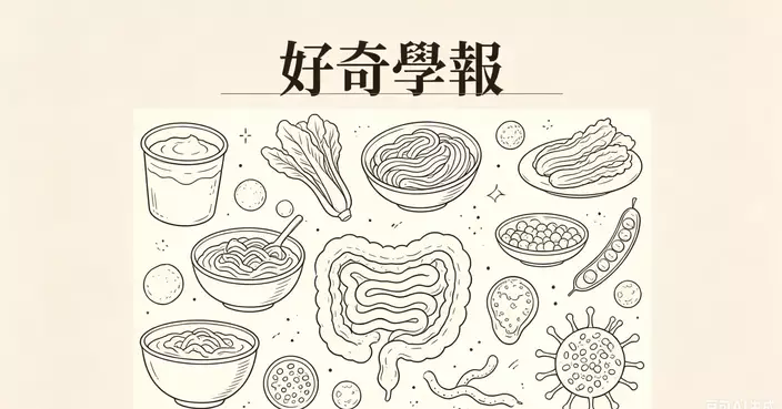 發酵食品為何對腸道如此有益？——千年智慧的科學解密