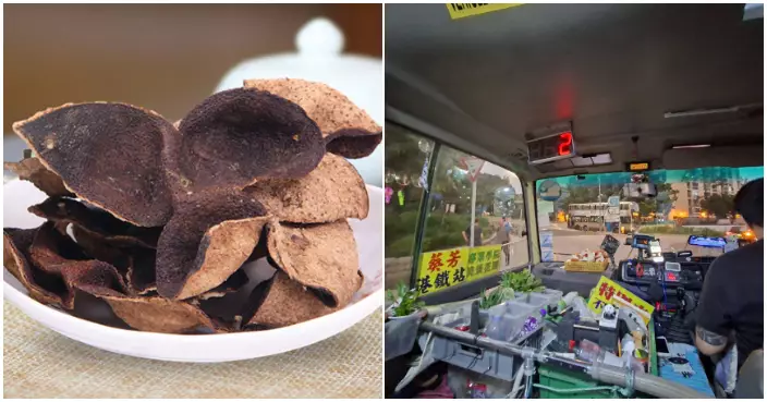 乘客公審綠Van司機車頭種花兼曬陳皮　網民齊撐小巴司機：天然製氧