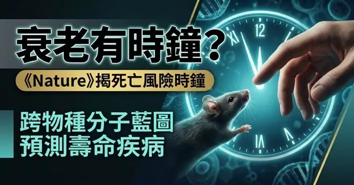 《Nature》研究揭哺乳動物衰老分子藍圖 建立「死亡風險時鐘」或助預測壽命疾病