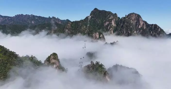 壯麗雲海現華東黃山 營造如夢似幻景色