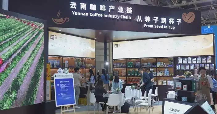 雲南咖啡生產商供應鏈博覽會展精品豆
