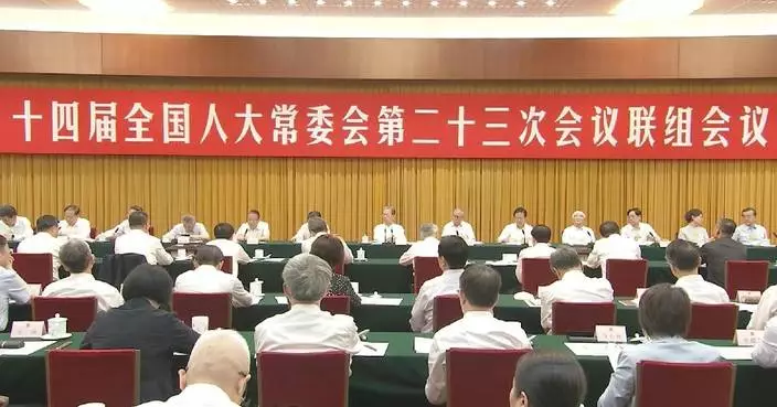 全國人大常委會審議建設全國統一大市場報告