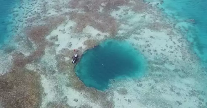 南海發現罕見藍洞 揭示氣候生物多樣性歷史