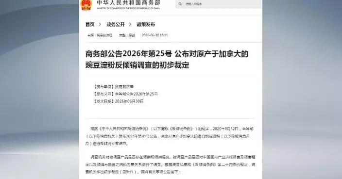 中國對加拿大豌豆澱粉徵收臨時反傾銷稅