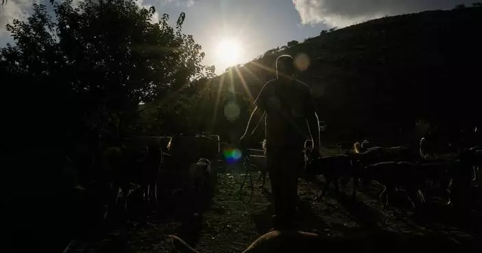 黎巴嫩南部戰火下動物獲救 胡辛·哈姆扎收容被遺棄寵物
