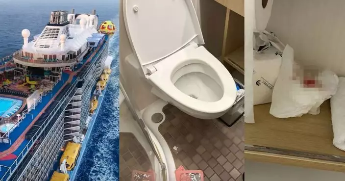 郵輪如廁遇風浪馬桶蓋突跌落 內地3歲童陰莖遭砸傷爆血 或需全麻手術
