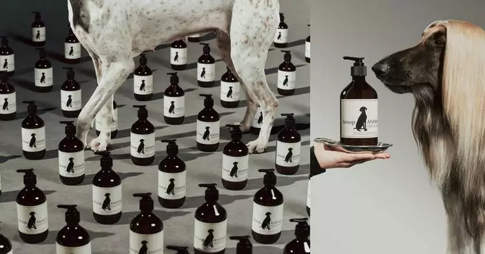 Aesop 寵物清潔露登陸香港  限定毛孩美容院開張