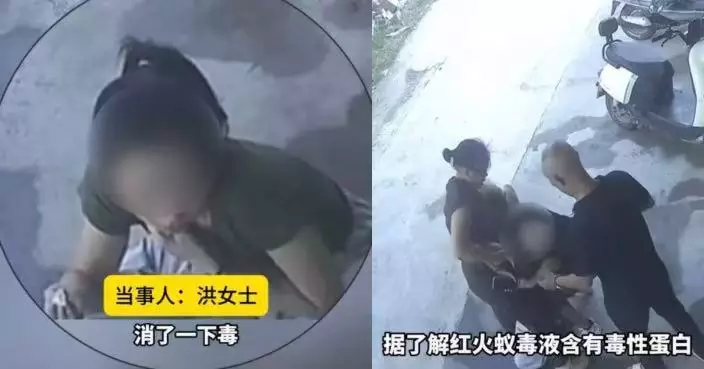 遭紅火蟻蜇頸 廣東女兩分鐘後心跳加速休克昏迷 送院搶救後脫險