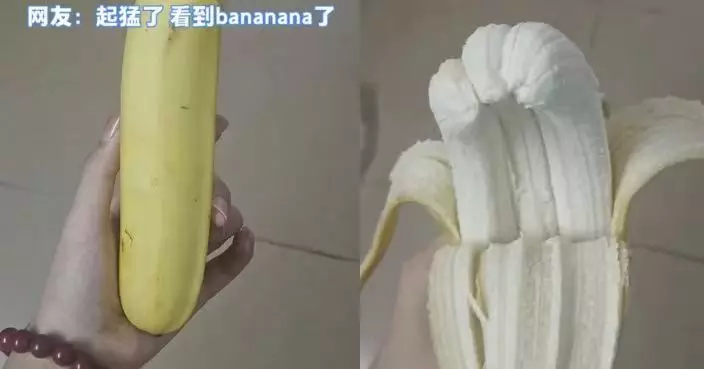 東莞女剝香蕉驚見「三連體」 網民笑稱：這是Bananana！