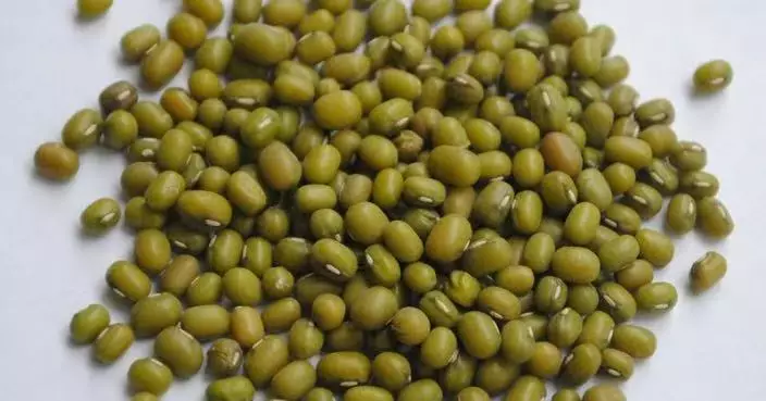 西瓜、綠豆、苦瓜未必人人啱食 中醫：體虛脾弱者慎防愈食愈攰