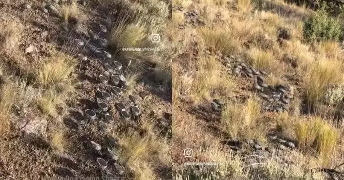 騎馬聞詭異刺耳雜音 美國母女循聲揭山坡擺滿近200個揚聲器傳播「愛與和平」