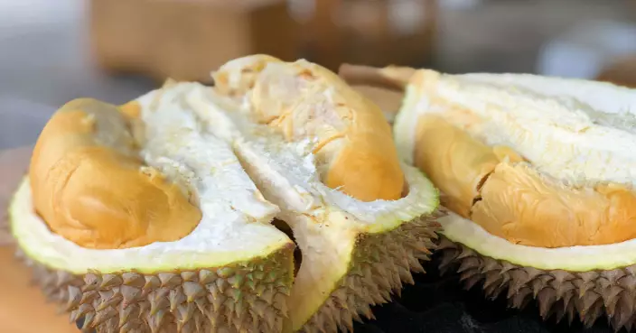 一蚊有找食榴槤？大馬榴槤豐收變滯銷 貓山王每公斤低至17蚊