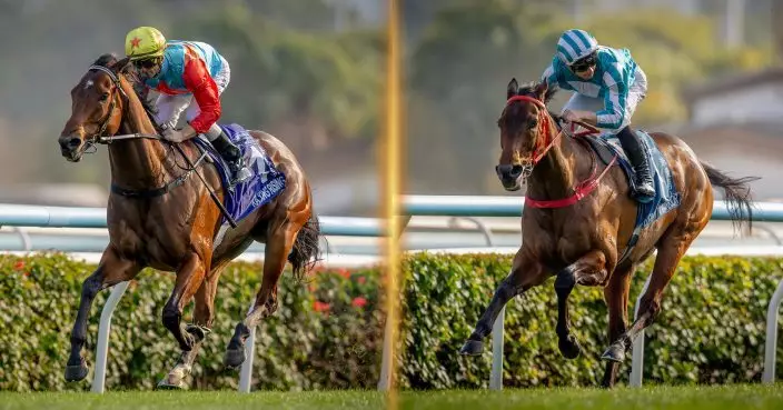 全球最高評分短途馬「嘉應高昇」及三冠王「浪漫勇士」共同榮膺香港馬王