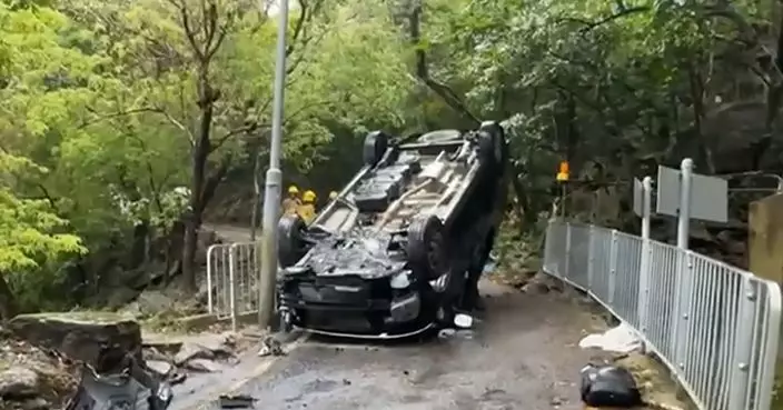 飛鵝山有客貨車失控撞樹 3乘客爬出後不知所終 另1人受傷送院