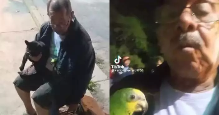 委內瑞拉老翁遇強震逃生不忘帶走4隻寵物 稱如家人絕不拋下