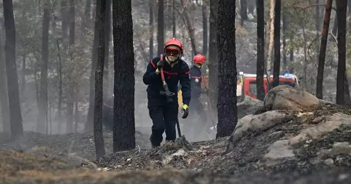 巴黎楓丹白露森林大火疏散千人 西班牙火災確認部分死者身份