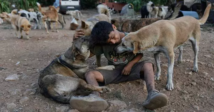 黎巴嫩戰火下動物遭遺棄 義工胡辛．哈姆扎傾力救助