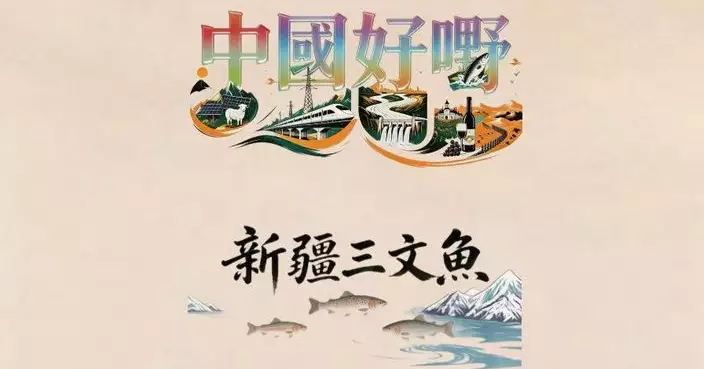 《中國好嘢》之新疆三文魚