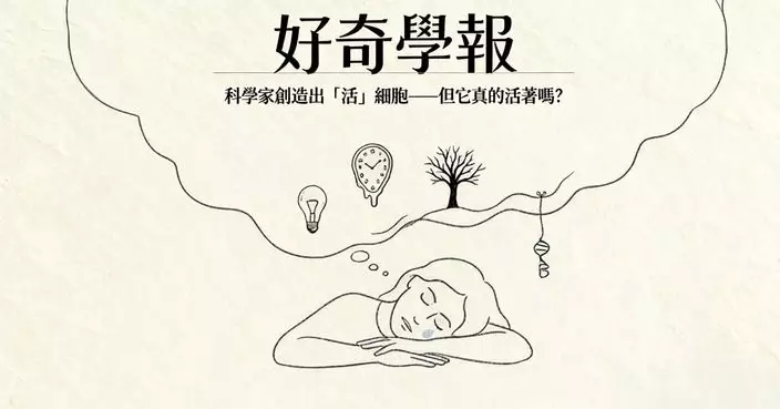 科學家創造出「活」細胞——但它真的活著嗎？