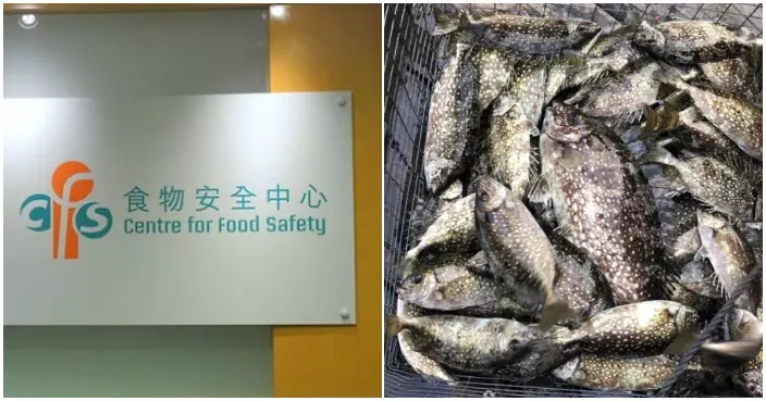 九龍城新鮮糧食店泥鯭驗出禁用獸藥 食安中心追查來源及分銷情況