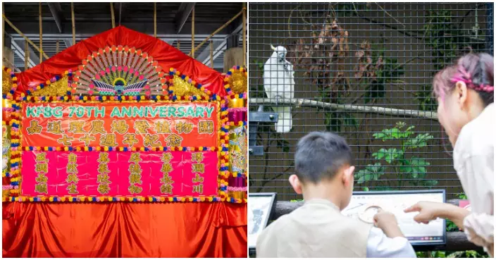 嘉道理農場賀70周年7.15起可登記免費入園　推三大夏日活動