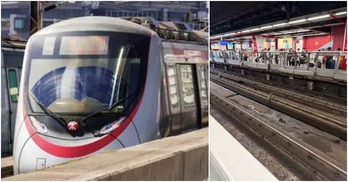 兩日兩宗 馬騮闖港鐵荃灣站附近路軌 荃灣綫列車服務需調整