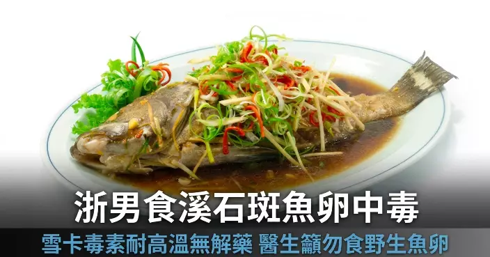 浙男食野生溪石斑魚卵中毒 醫生警告：含雪卡毒素劇毒耐高溫無解藥