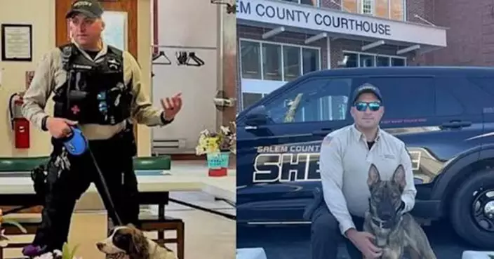 美警員將2隻K-9警犬留高溫車內7小時致熱衰竭雙亡　遭停職起訴